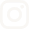 instgarm icon