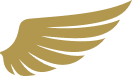 wing vector